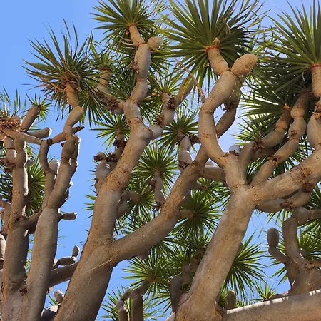 Great Views & Heated Pool - El Perenquen 3 Apartment *