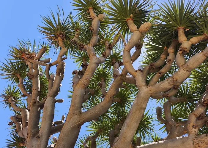 Great Views & Heated Pool - El Perenquen 3 Διαμέρισμα *